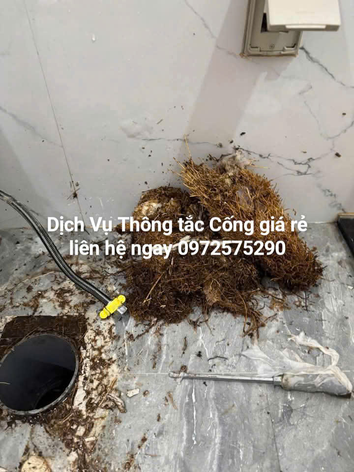 Thông tắc bồn cầu tại ocean park chuyên nghiệp